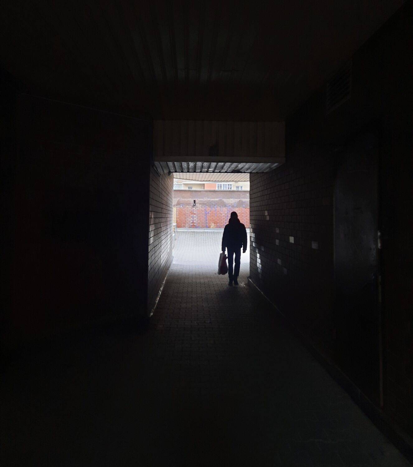 Photo #12928318