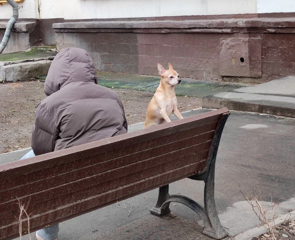 Photograph by Елена Казарина