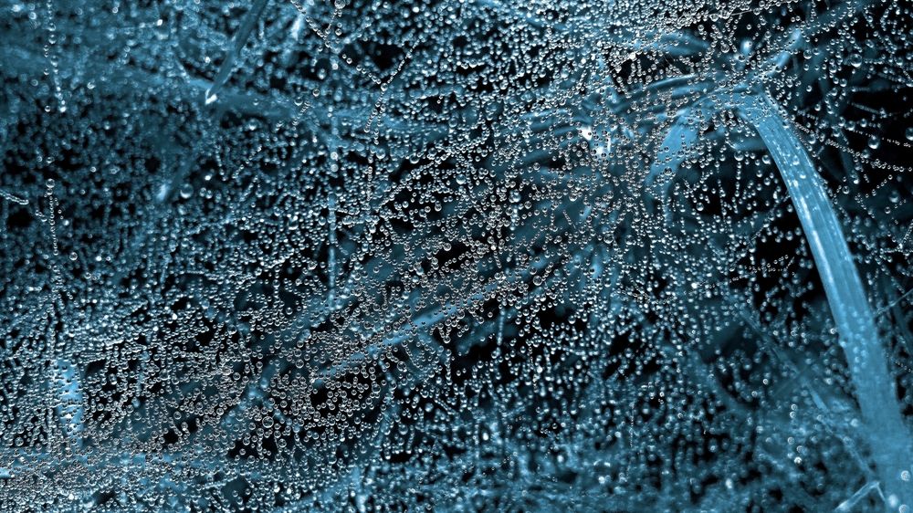 Photograph by Фартушняк Сергей