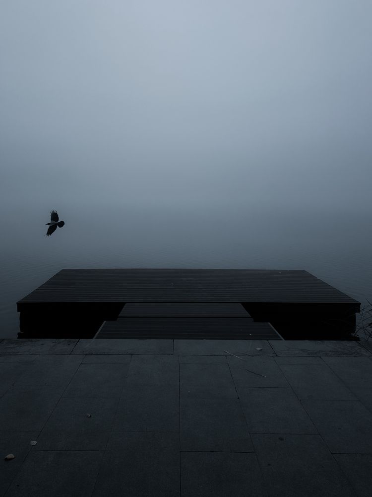 Photograph by Константин Шипицын