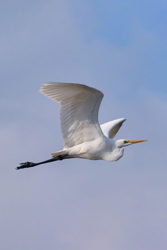 Photograph by Мороз Олег