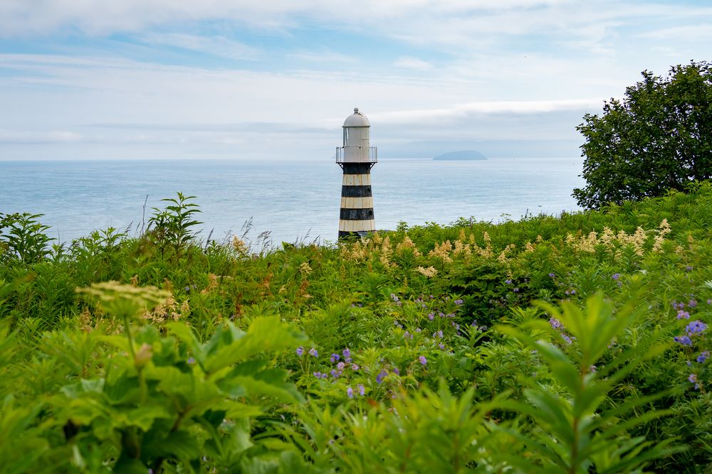 Photograph by Варвара Сорока