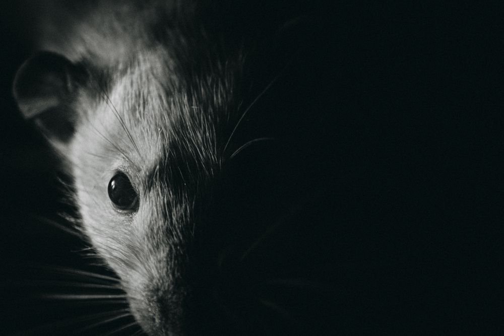 Photograph by Алексей