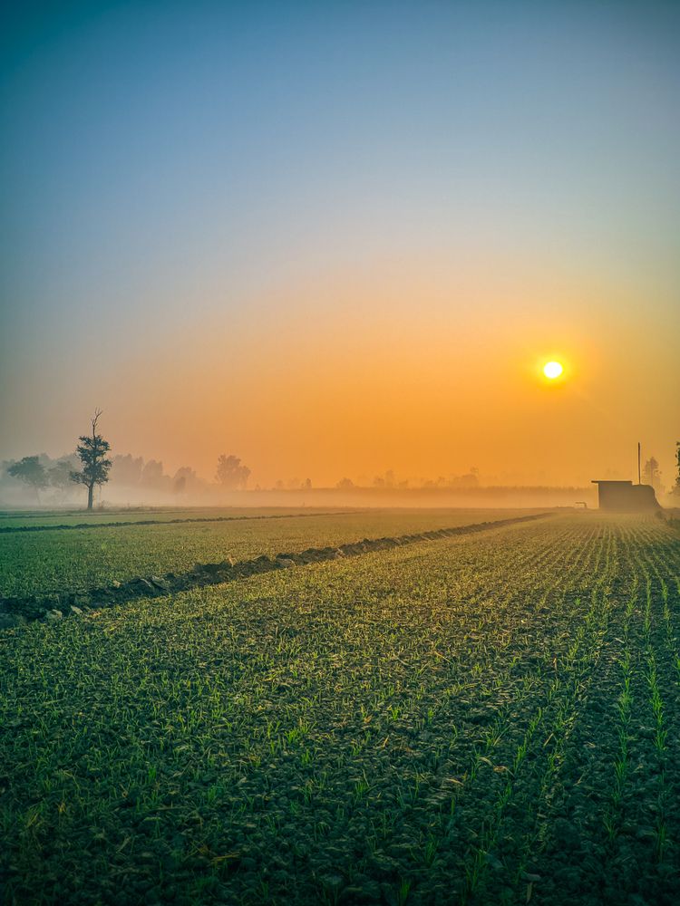 Photograph by Moria Clicks