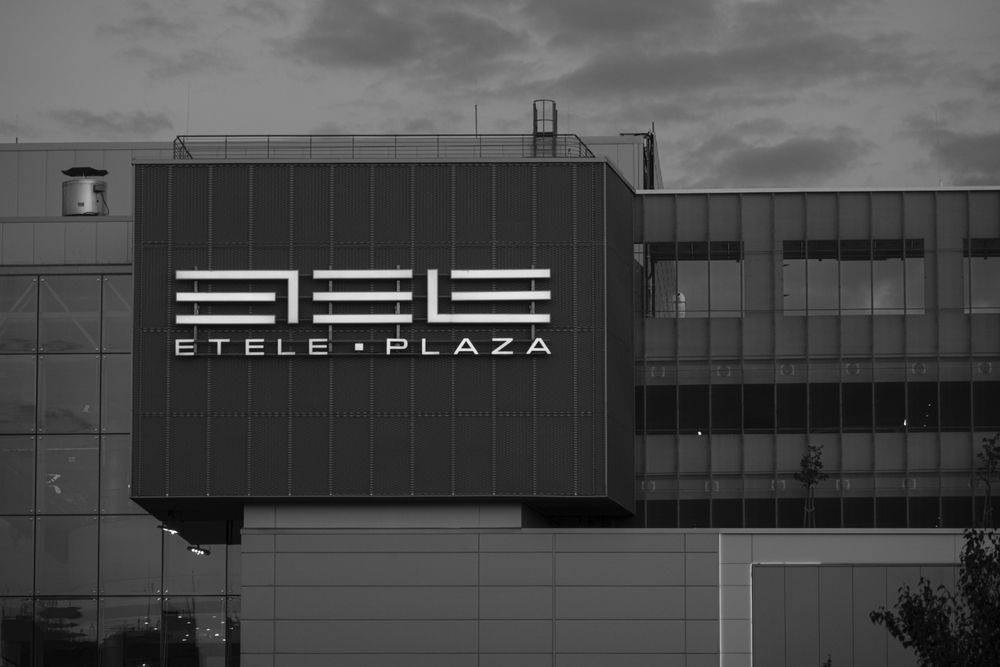 Photograph by Veronika Biró