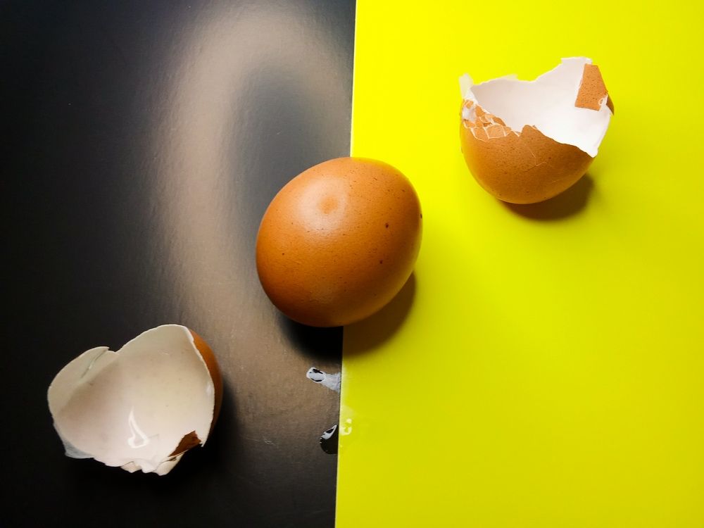 Яйцо и скорлупа.