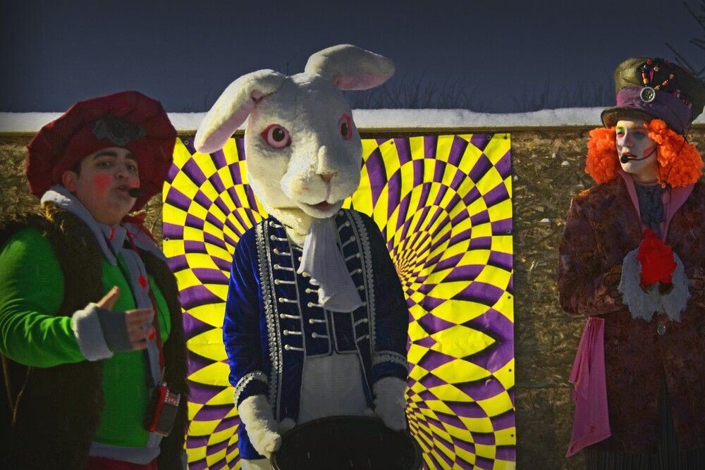 В стране чудес