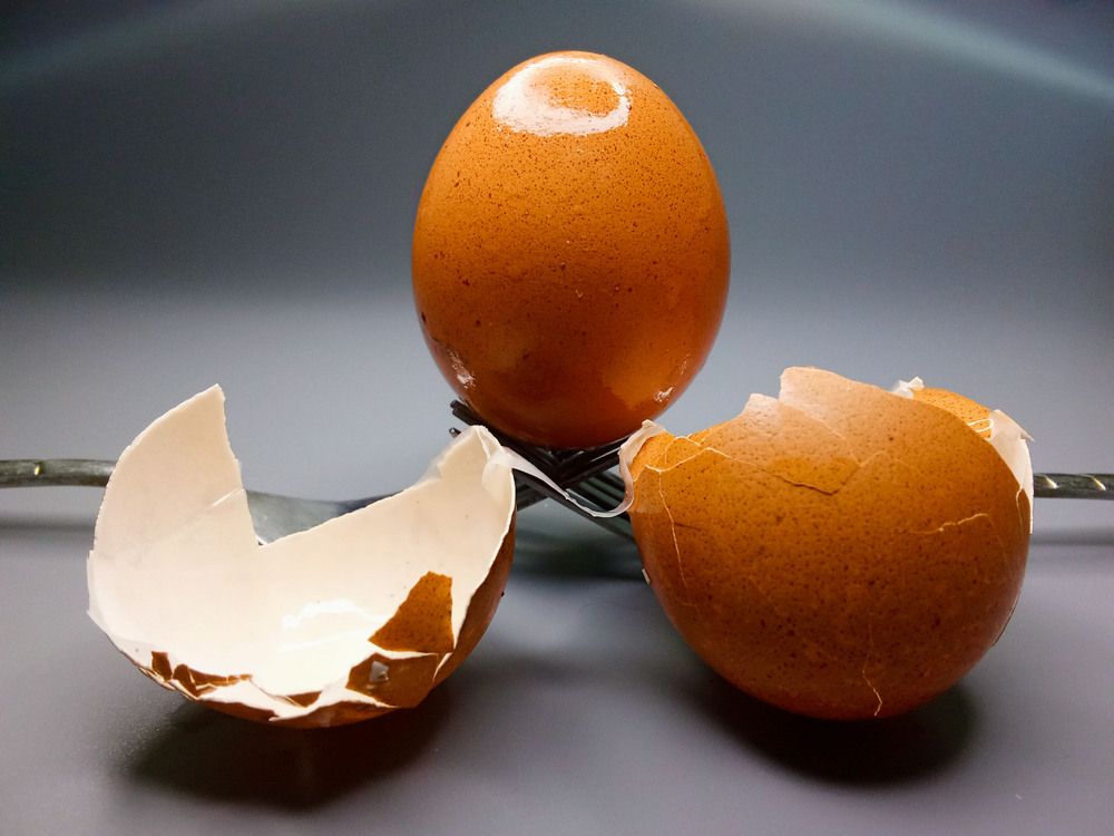 Яйцо на двух вилках. Скорлупа.