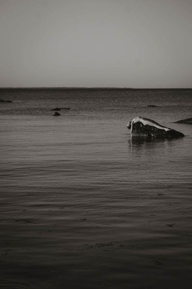 Photograph by Anna Chekryshova