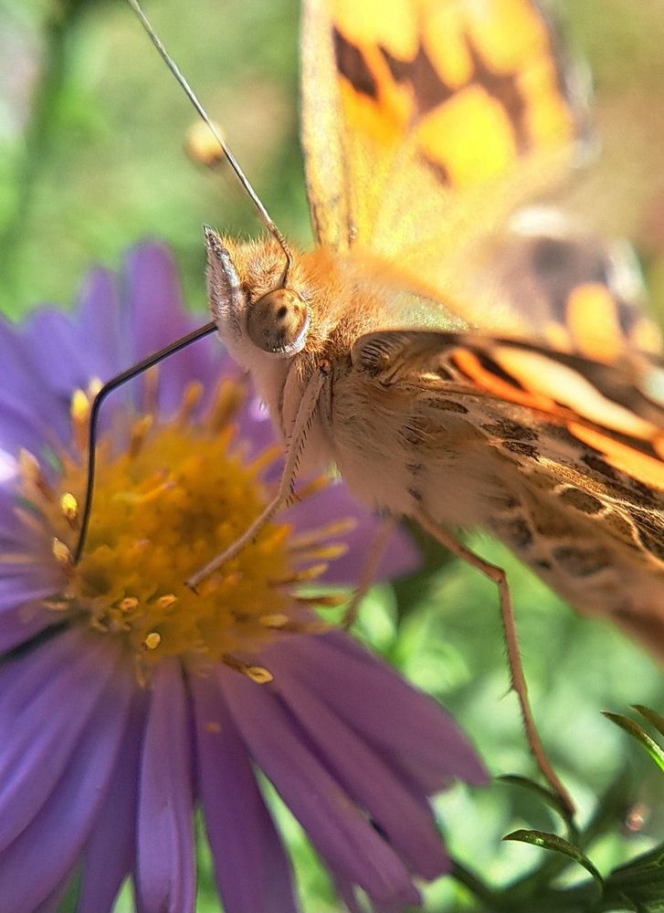 Photograph by Любовь Войтишина