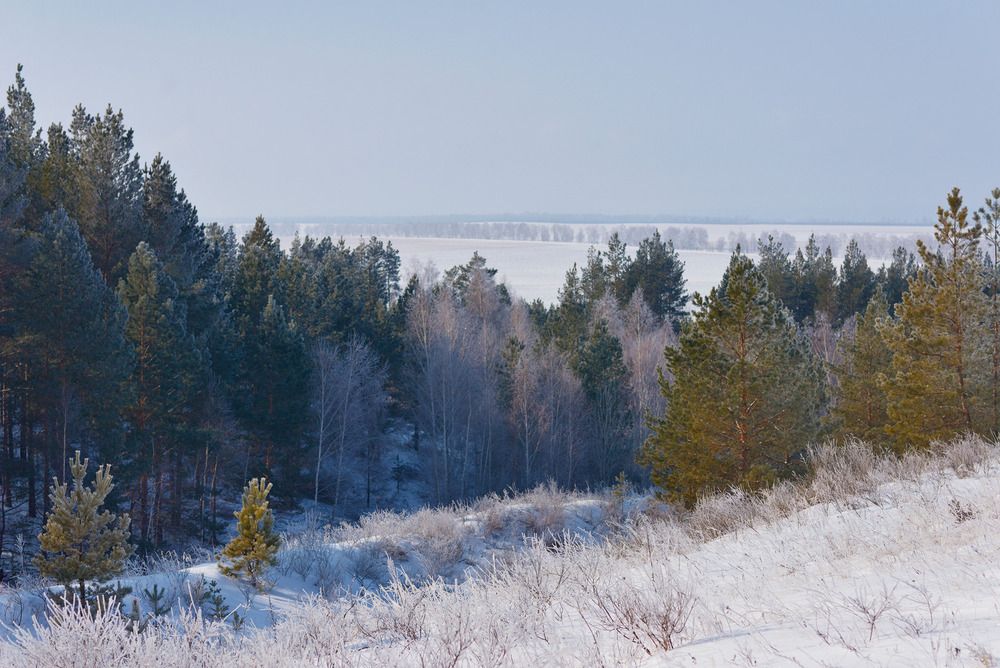 Photograph by Олег Шлыгин