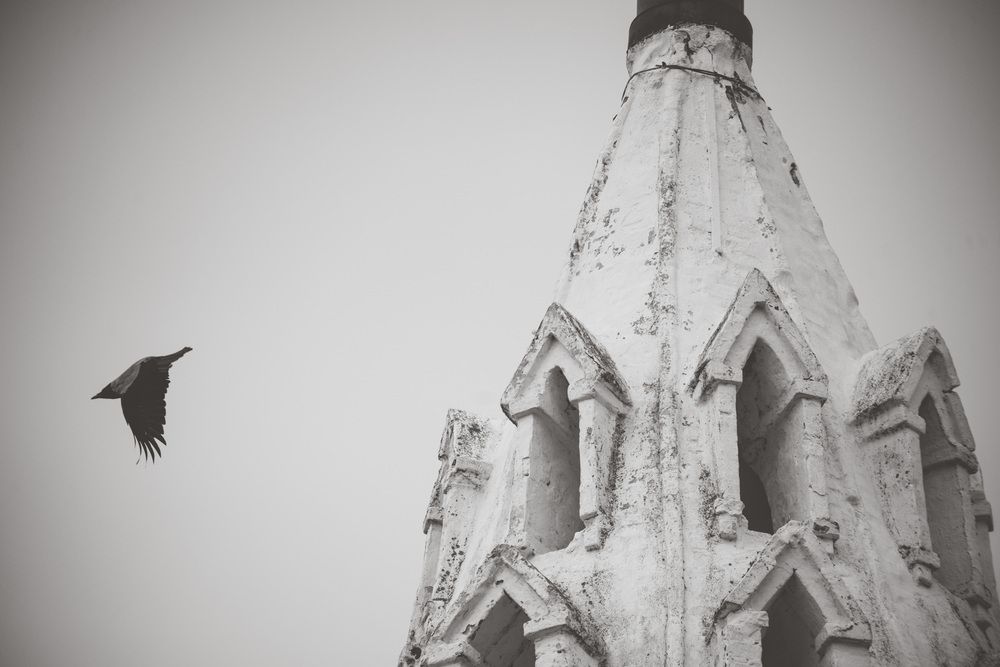 Photograph by Алексей