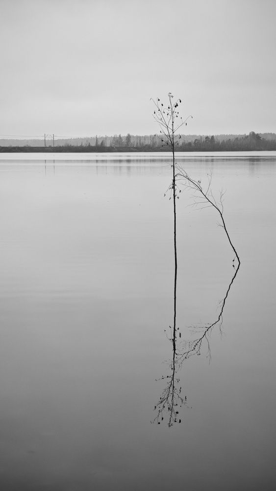 Фотография автора Юлия Стеценко