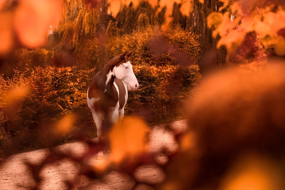 Photograph by Maike Wick