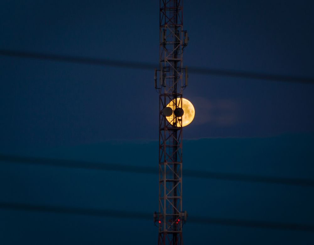 Photograph by Николай Захаров