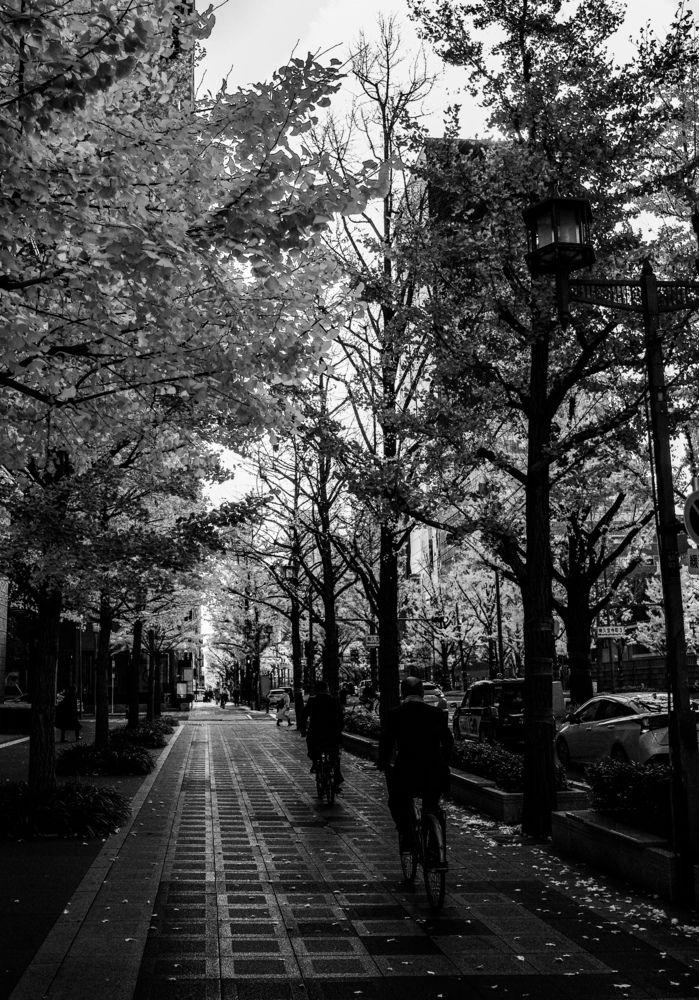 Фотография автора Mutsuaki