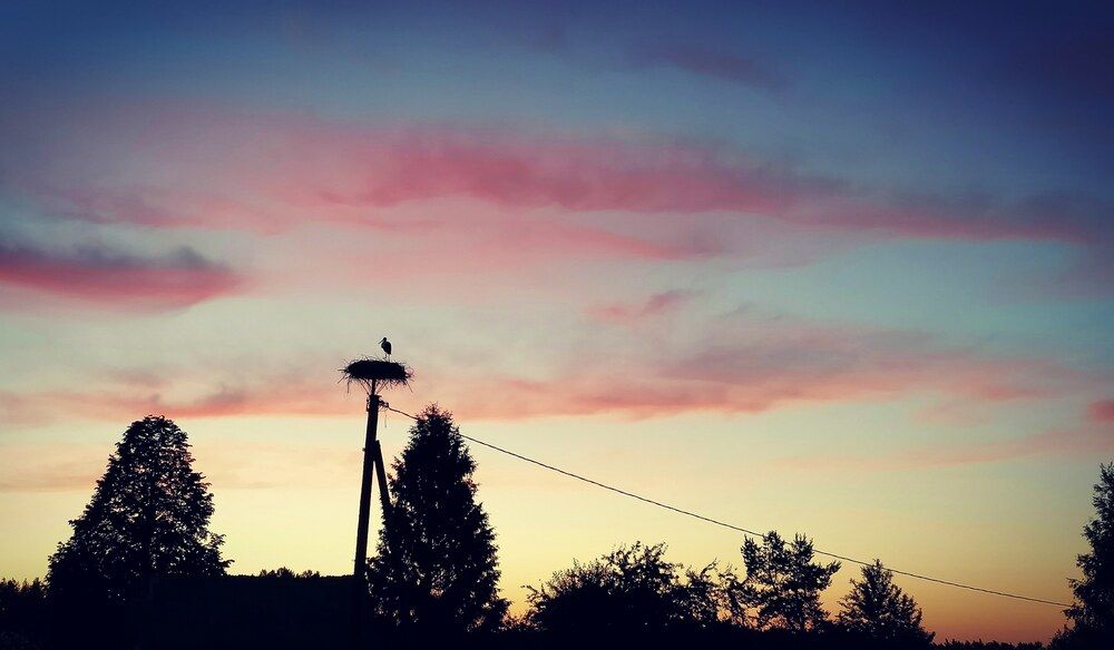 Photograph by Ieva Lukševica