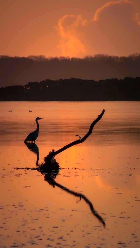 Photograph by Michael Gault