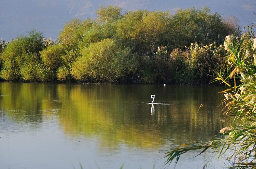 Photograph by Irina Krasnopevzeva