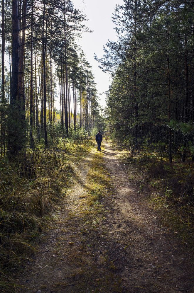 Photograph by Александр Журавлев