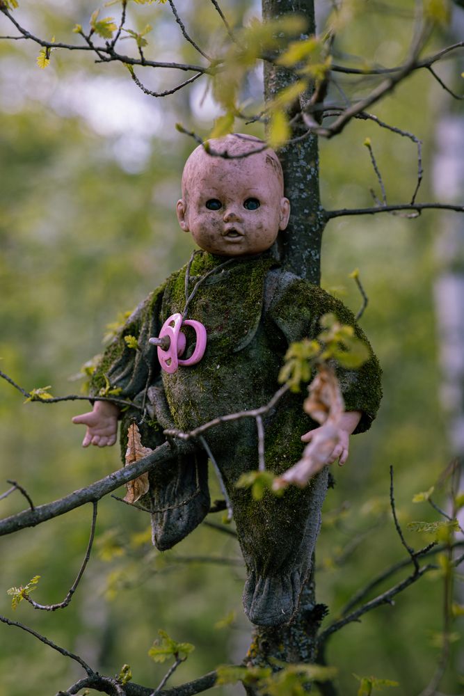 Photograph by Максим Мураков