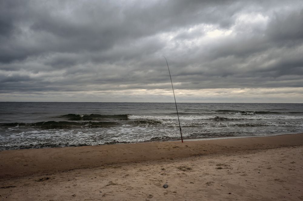 Photograph by Александр Журавлев