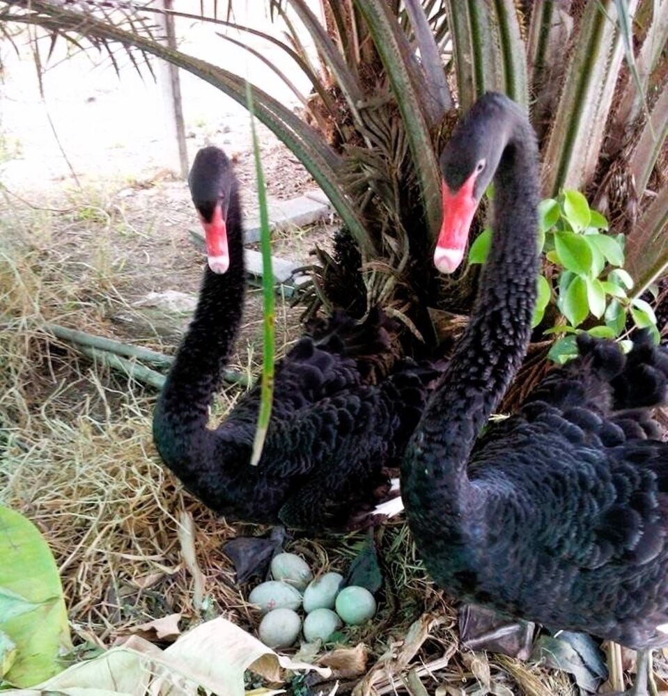 Photograph by Светлана Парамонова