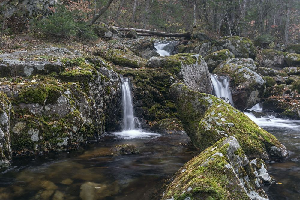 Фотография автора Кузнецов Александр