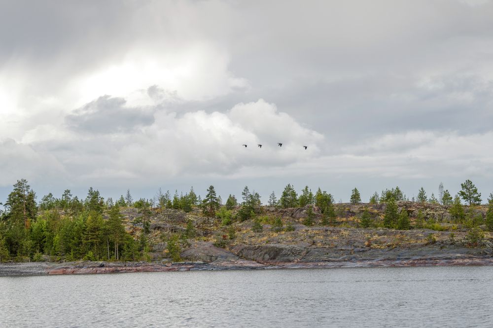 Photograph by Александр Журавлев