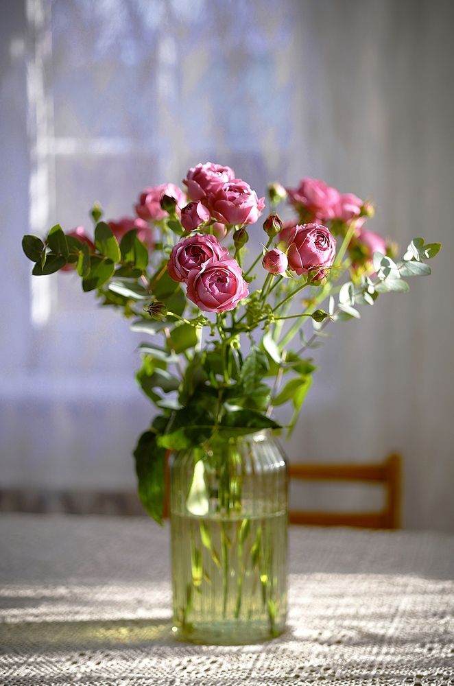 Photograph by Полина Сульженко