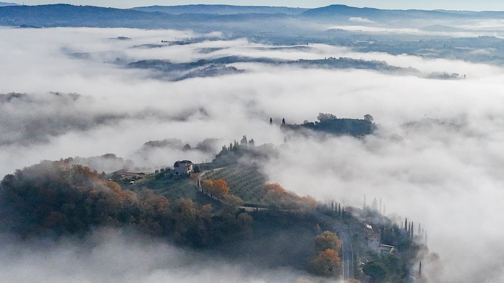Фотография автора Максимова Дария