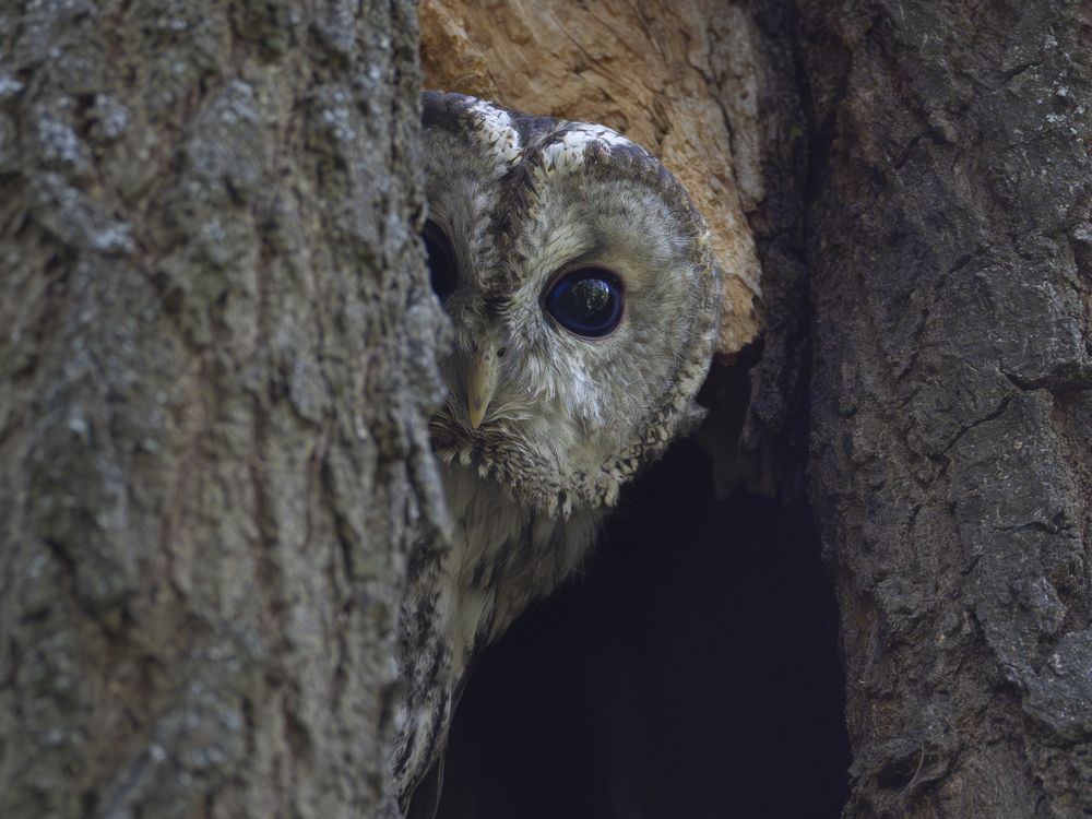 Photograph by Владимир Зайцев