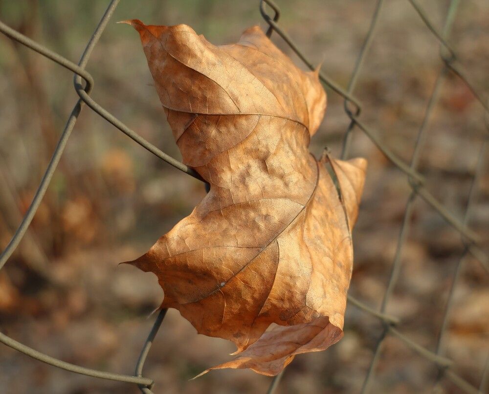 Photograph by Гагик Саркисян