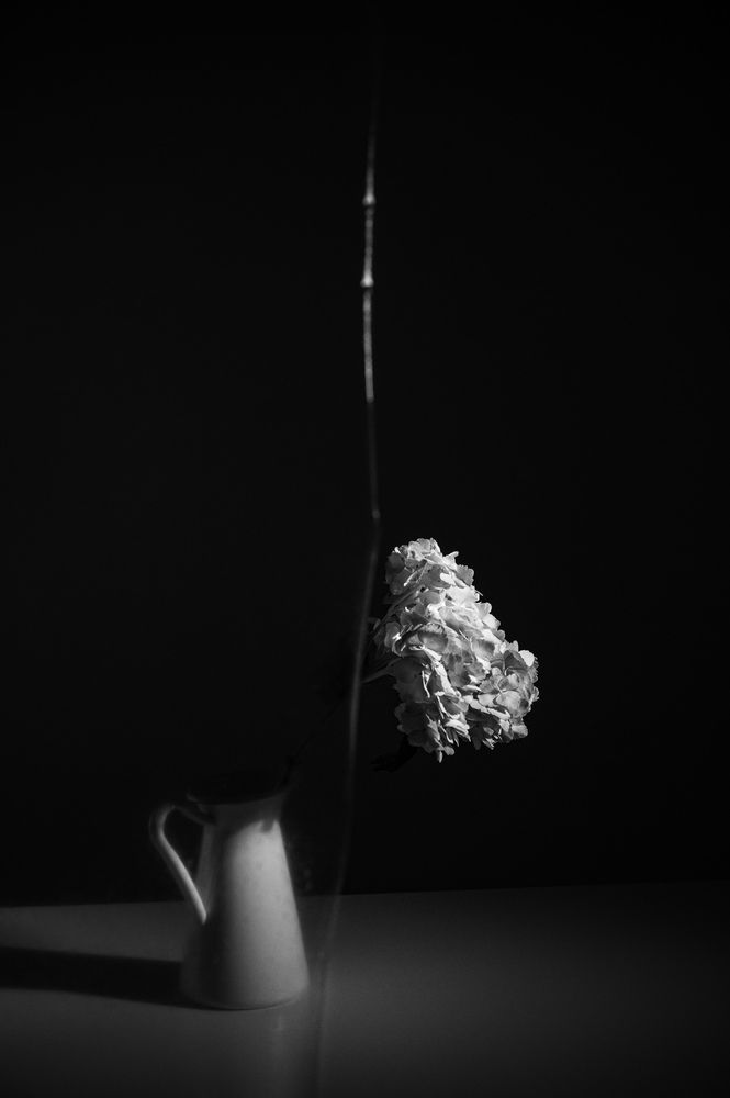 Фотография автора Anna Chistiakova