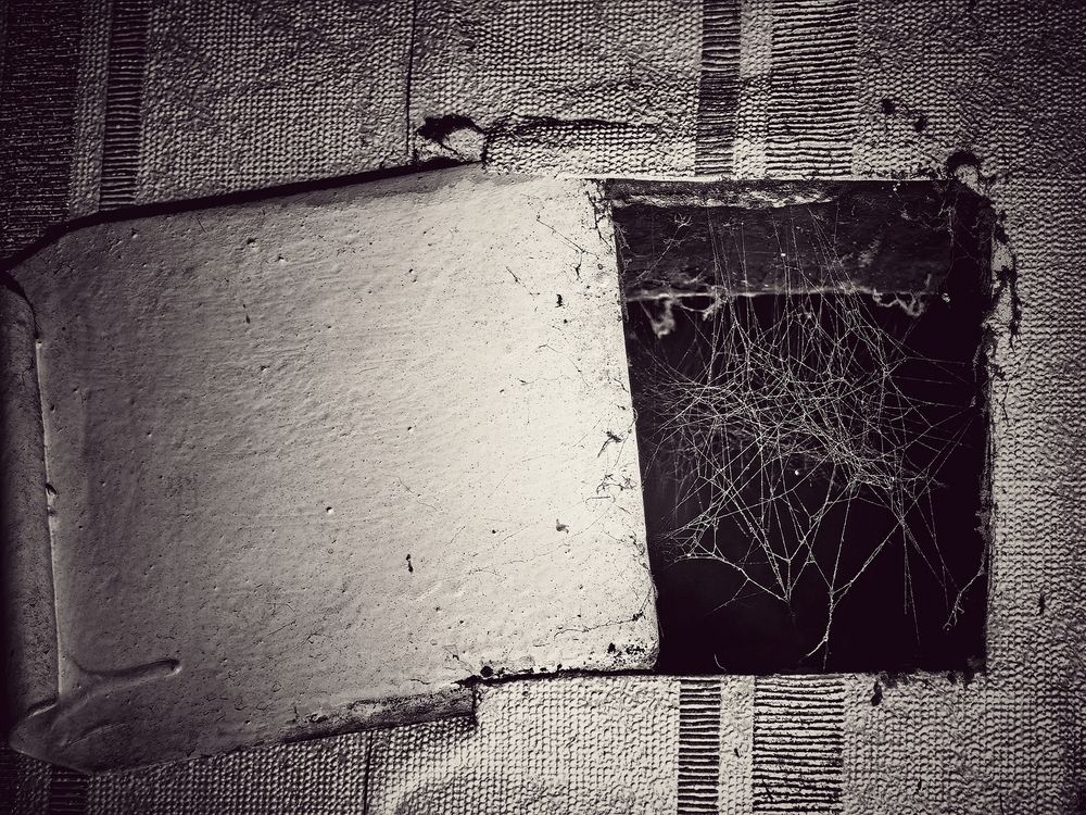 Photograph by OLGA MIKHNEVICH