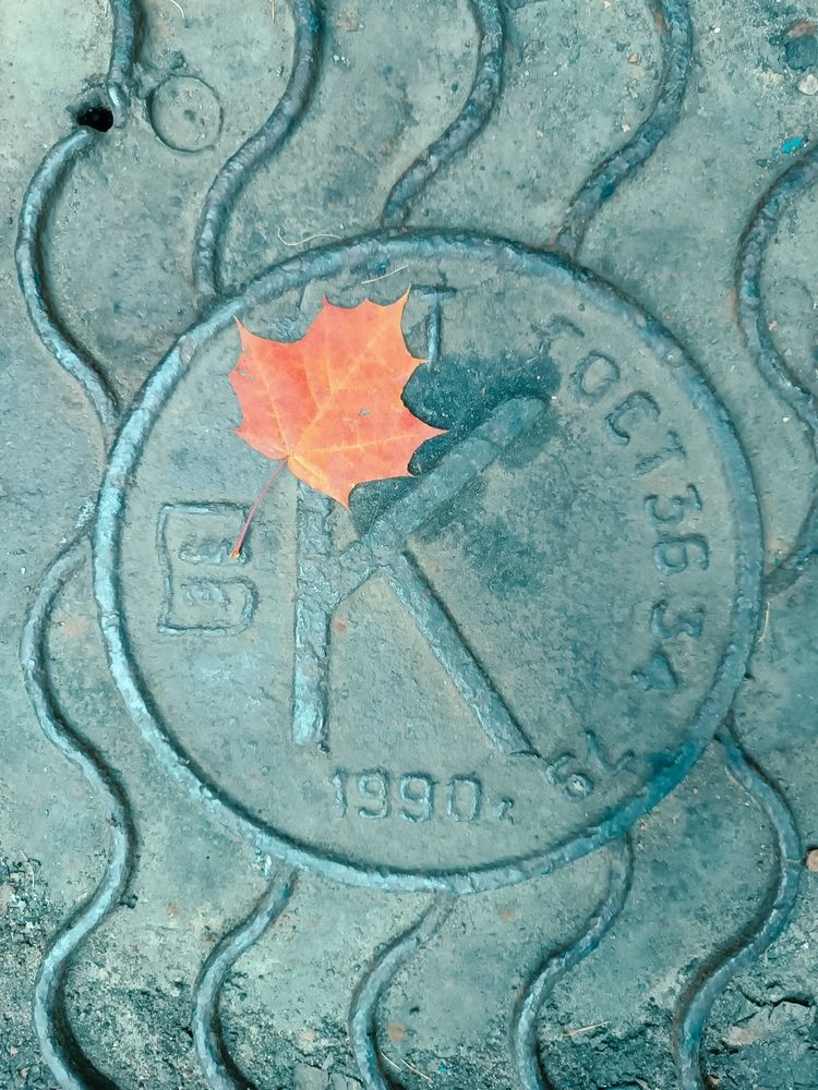 Photograph by Olga Kot