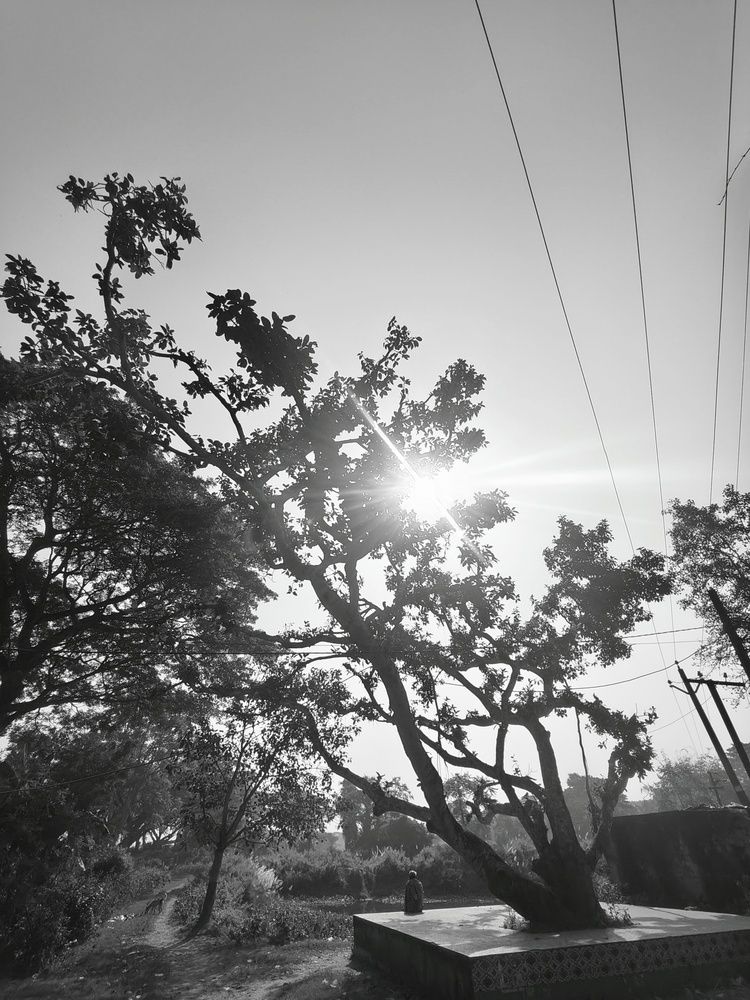 Photo #12929910