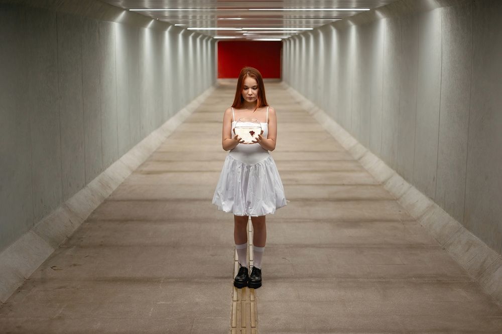 Фотография автора Михаил Бушенёв