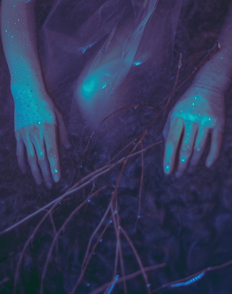 Фотография автора Михаил Бушенёв