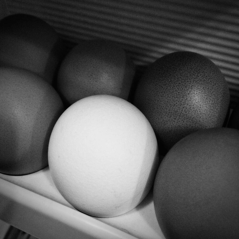 Photograph by Юрий Мокрицкий