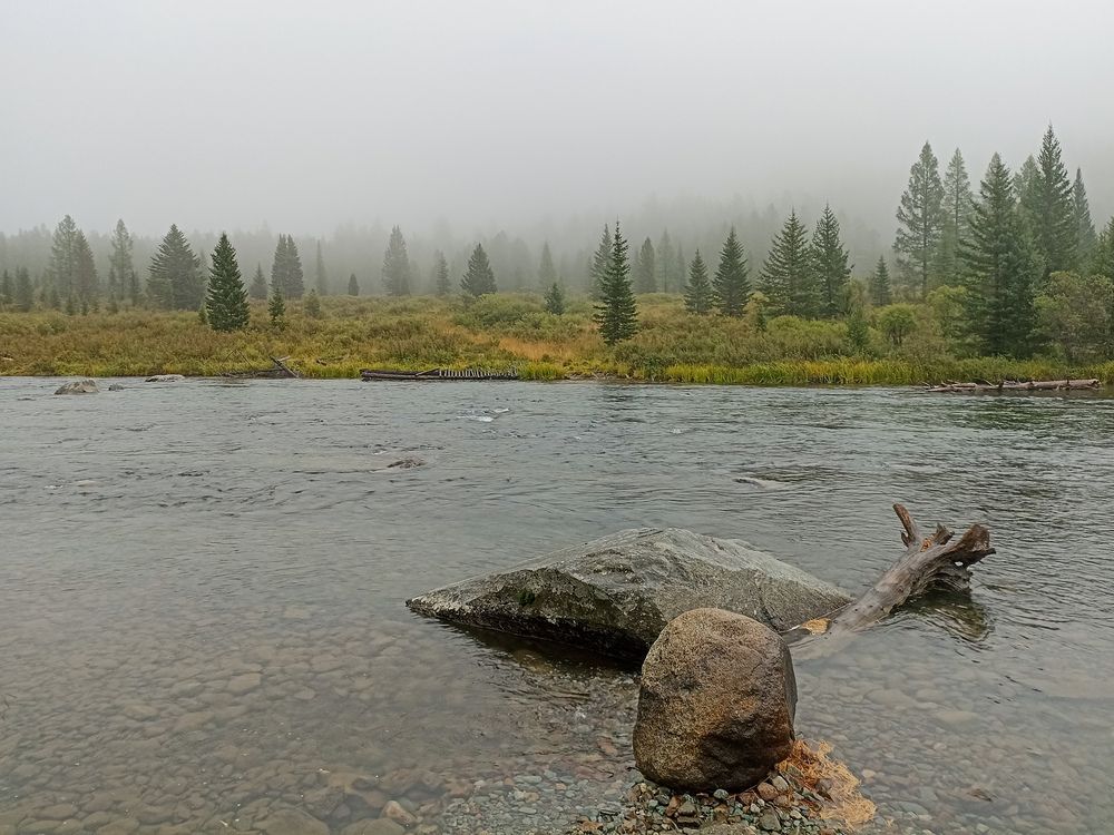 Photograph by Елена Кузнецова