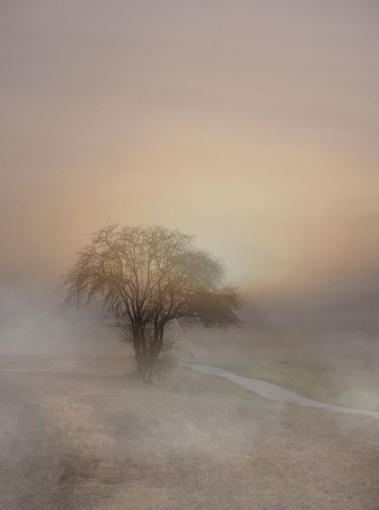 Breath of the Morning