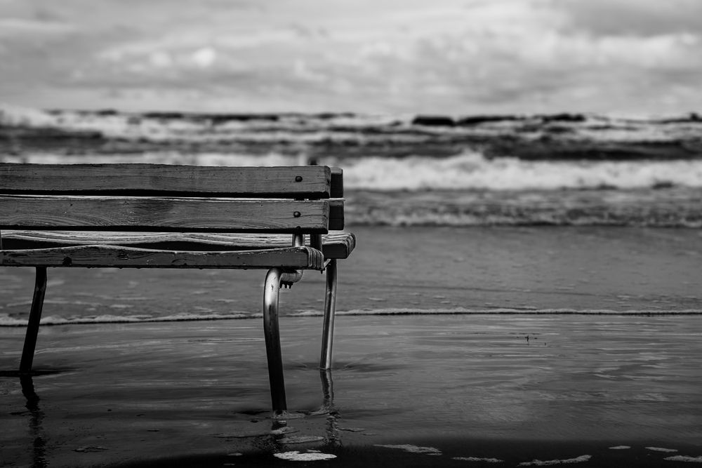Photograph by Nina Farzalijeva