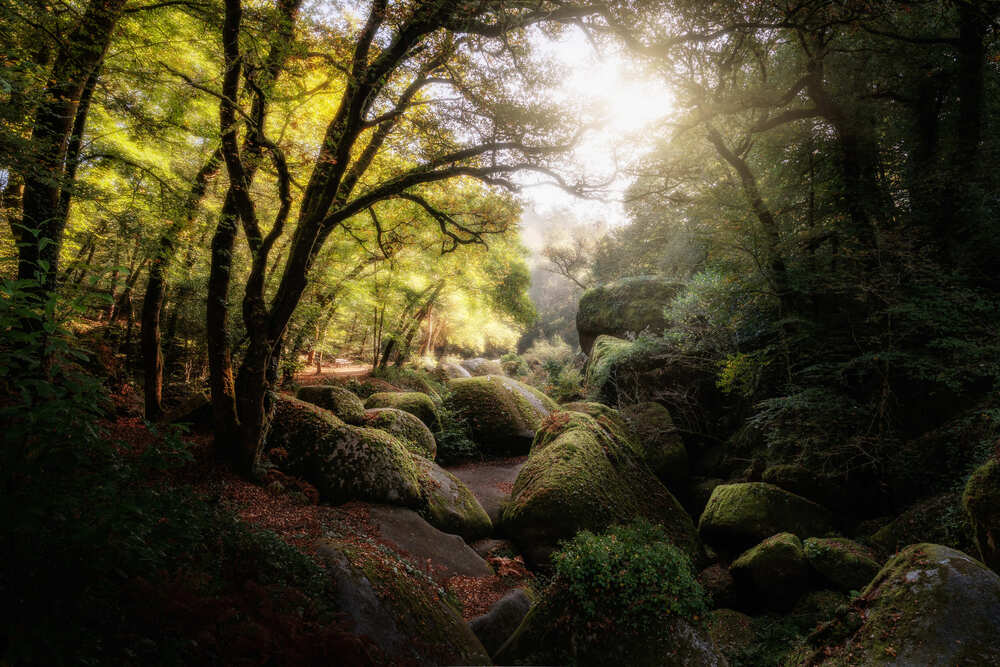 Photograph by Steven