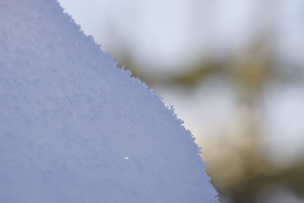 Photograph by Божидар Атанасов