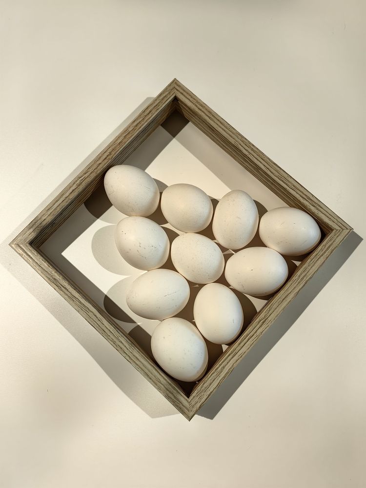 Photograph by Анастасия Кременчугская