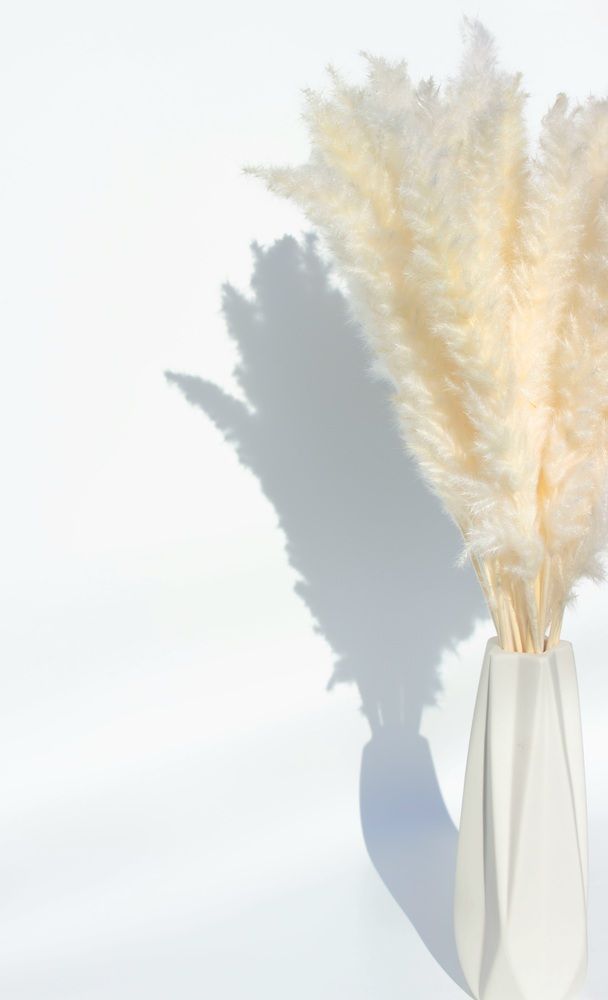 Photograph by Елена Ибрагимова