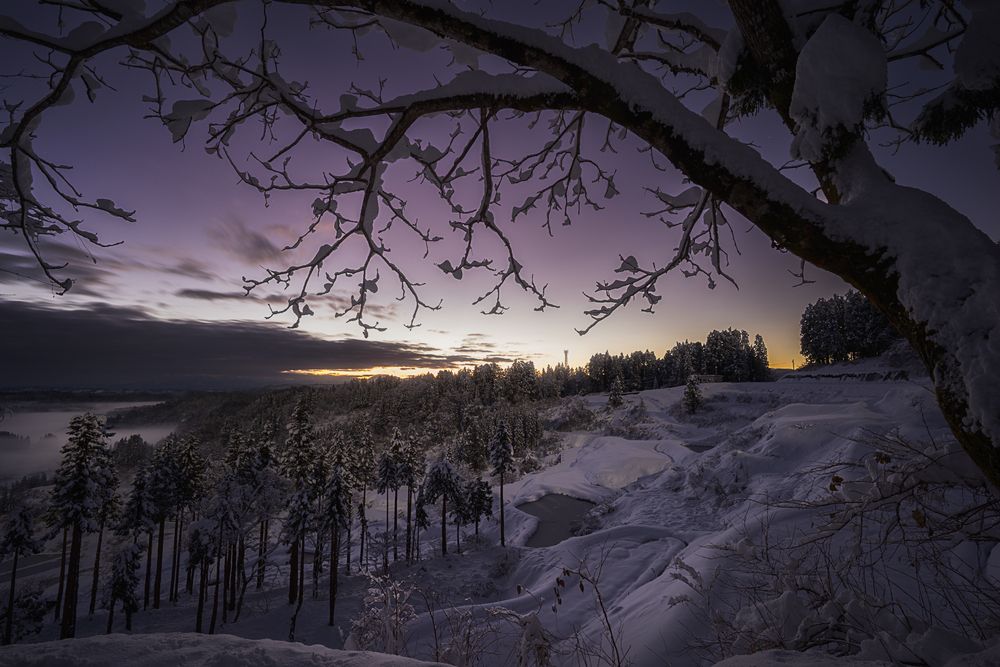 Фотография автора NAGUMO SHUTO