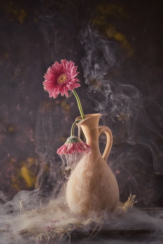 Echoes of a Fading Bloom