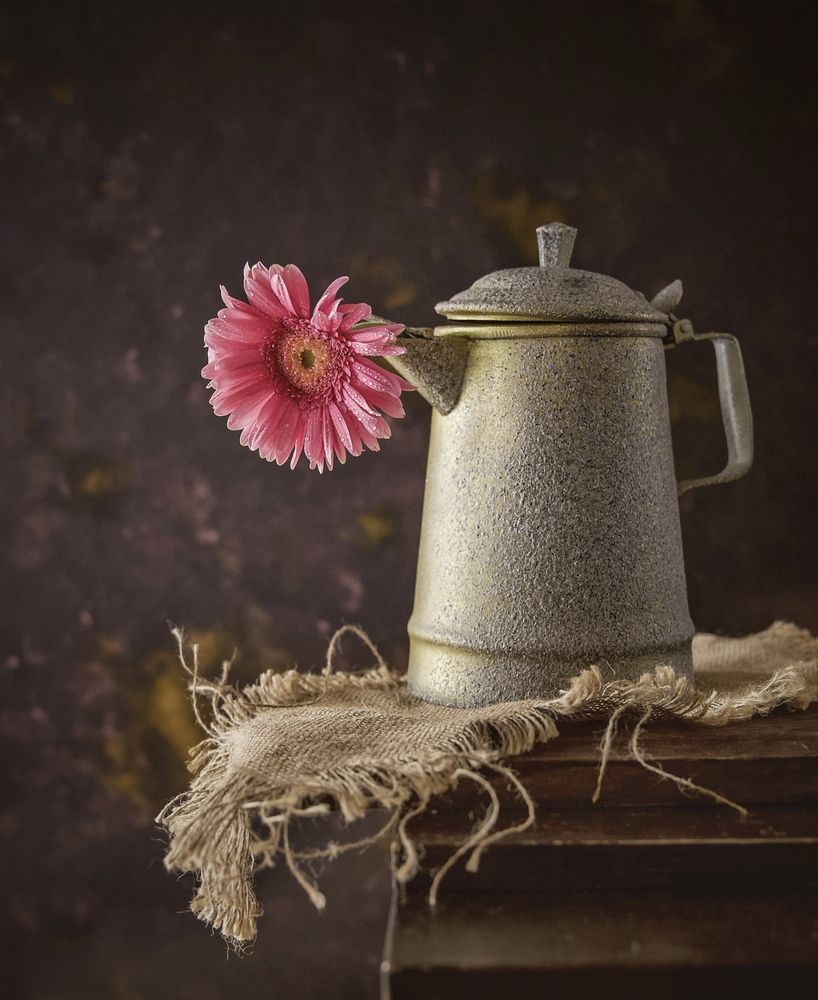 A Flower for the Old Kettle